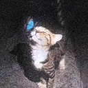 luvq2's avatar